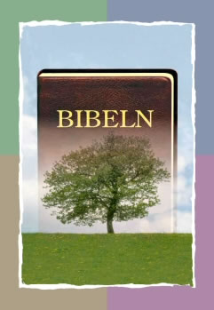 bibeln2