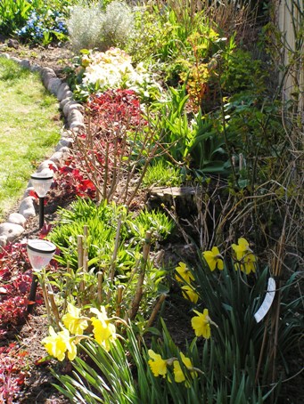 blomma3