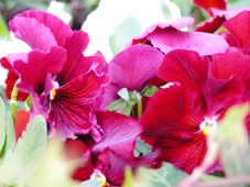a3