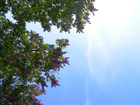himmel