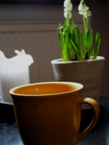 PICT0094