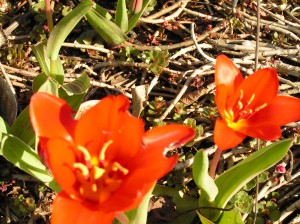 PICT0037
